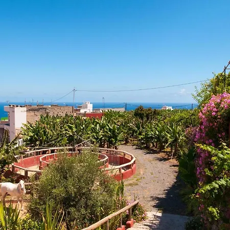 Traditional By Villagrancanaria *