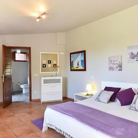 Villa Traditional By Villagrancanaria Arucas
