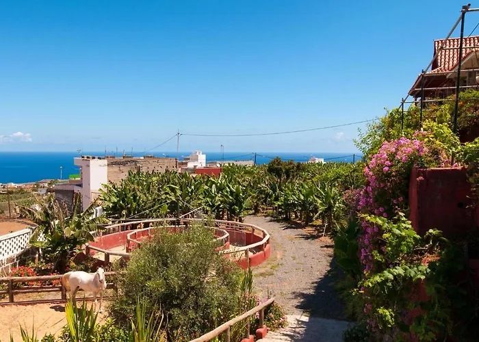 Traditional By Villagrancanaria *