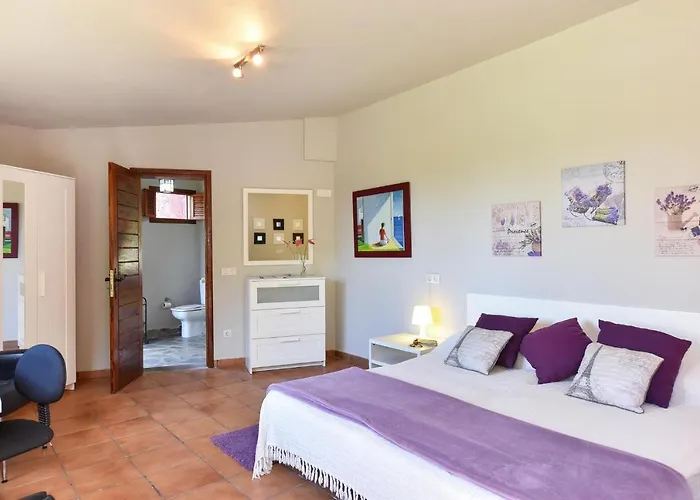 Villa Traditional By Villagrancanaria Arucas